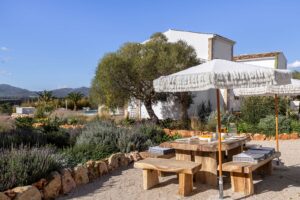 mallorcasoul location img